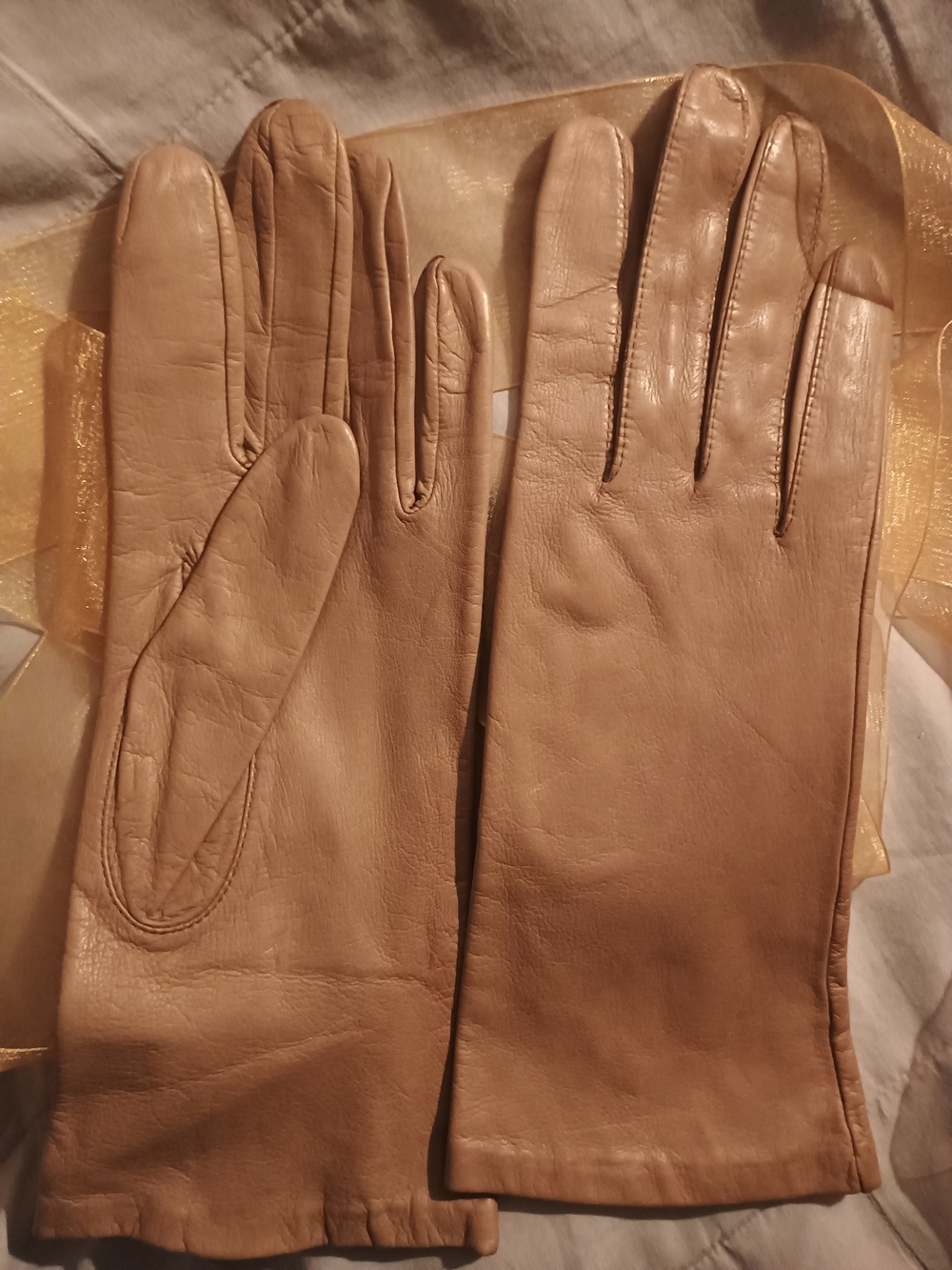 Aris Women's Leather Gloves in Tan